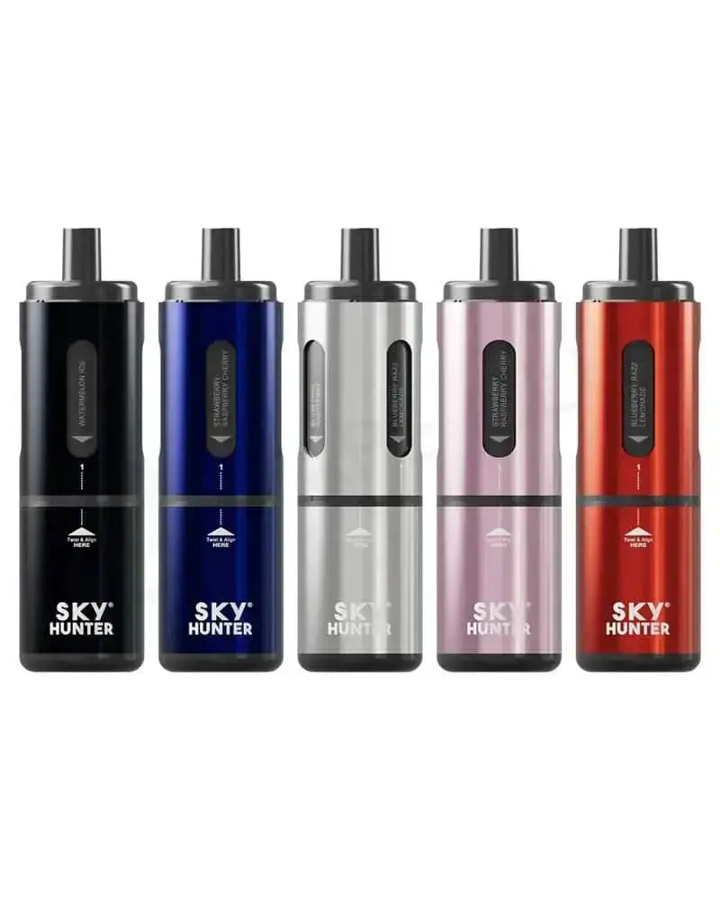 Sky Hunter 2600 Twist Slim Pod Kit- (Pack of 5) | 247 Puff District