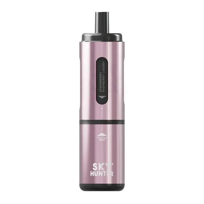 Sky Hunter 2600 Twist Slim Pod Kit- (Pack of 5) | 247 Puff District