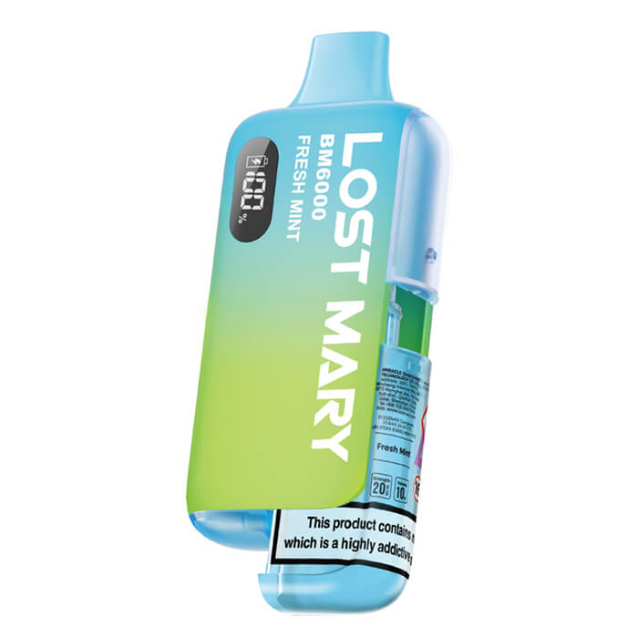 Lost Mary BM6000 Prefilled Pod Kit | 247 Puff District